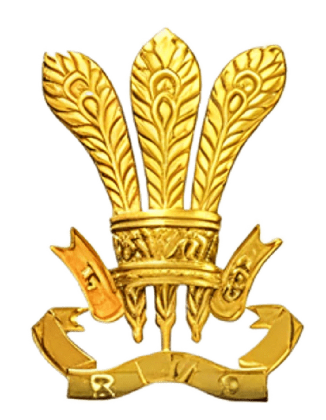 RIMC Logo